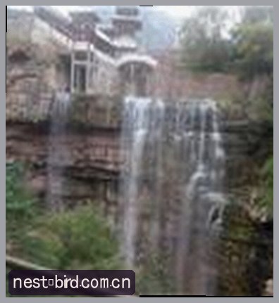 小陈